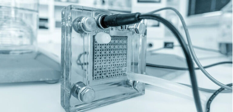 Israeli hydrogen technology startup receives backing from BEV